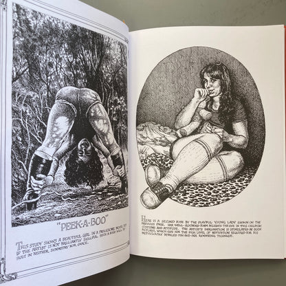 Art & Beauty: Drawings by R. Crumb