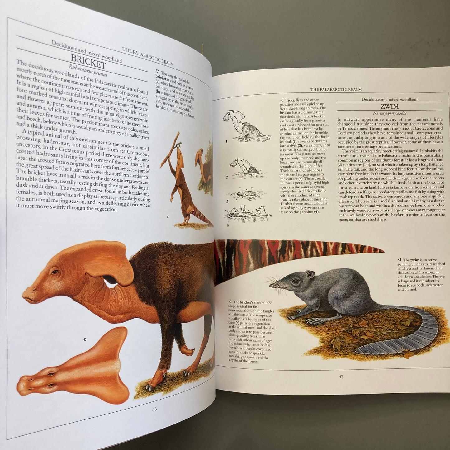 The New Dinosaurs: An Alternative Evolution