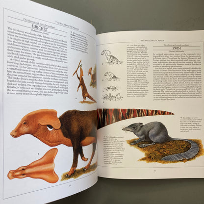 The New Dinosaurs: An Alternative Evolution
