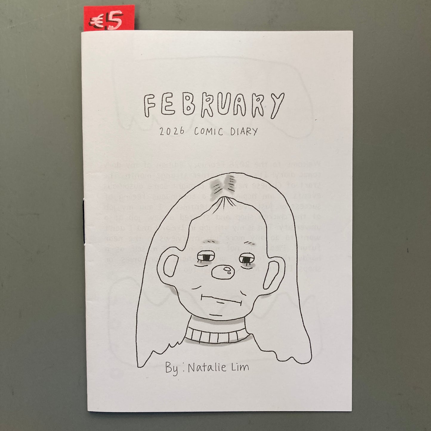 February 2026 Diary Comic