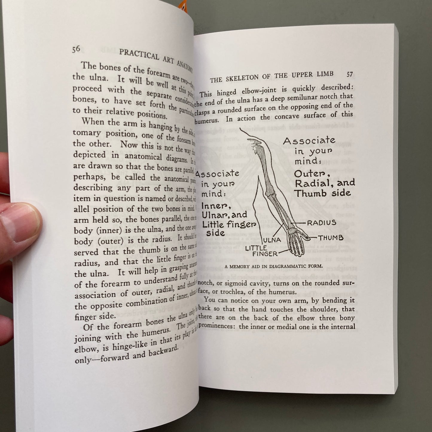 Practical Art Anatomy