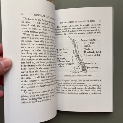 Practical Art Anatomy