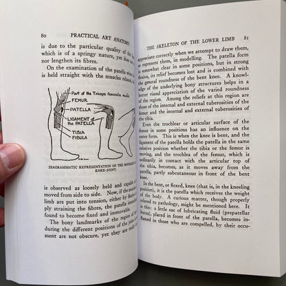 Practical Art Anatomy
