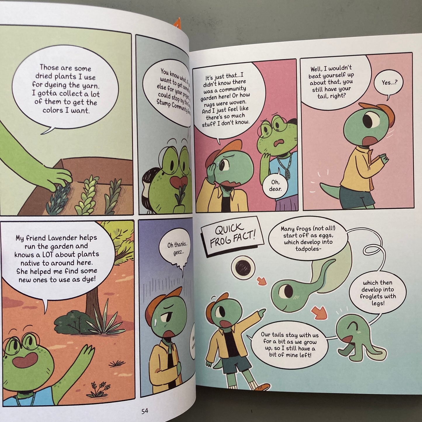 The Froggy Library