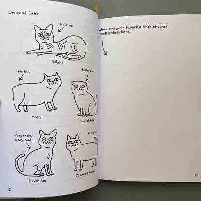 Doodling for Cat People