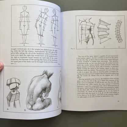 Anatomy and Perspective