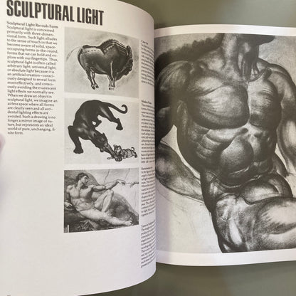 Dynamic Light and Shade