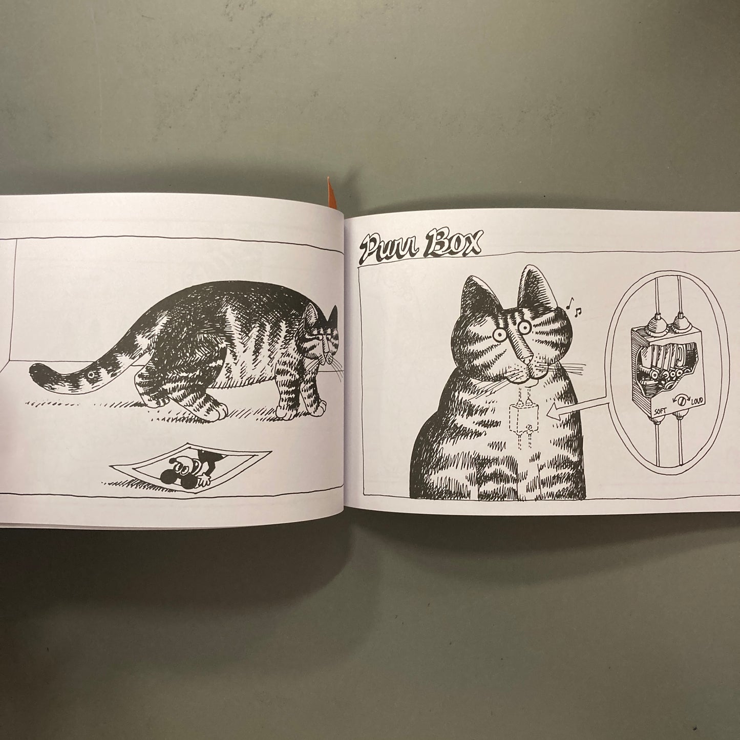 Cat