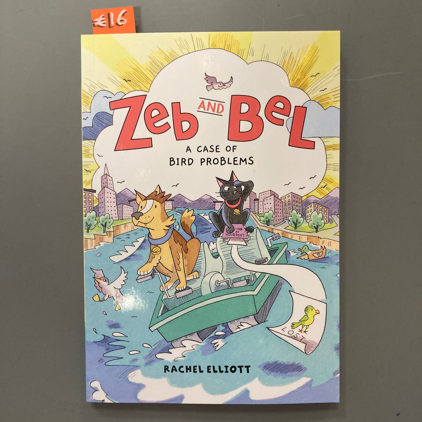 Zeb and Bel: A Case of Bird Problems