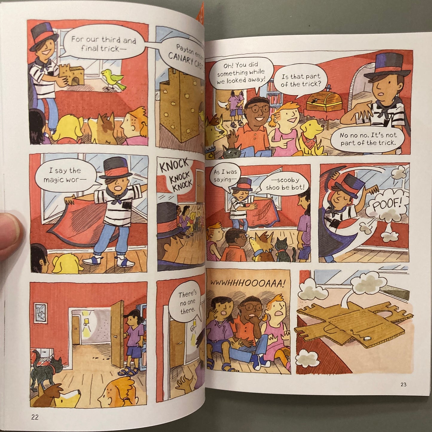 Zeb and Bel: A Case of Bird Problems