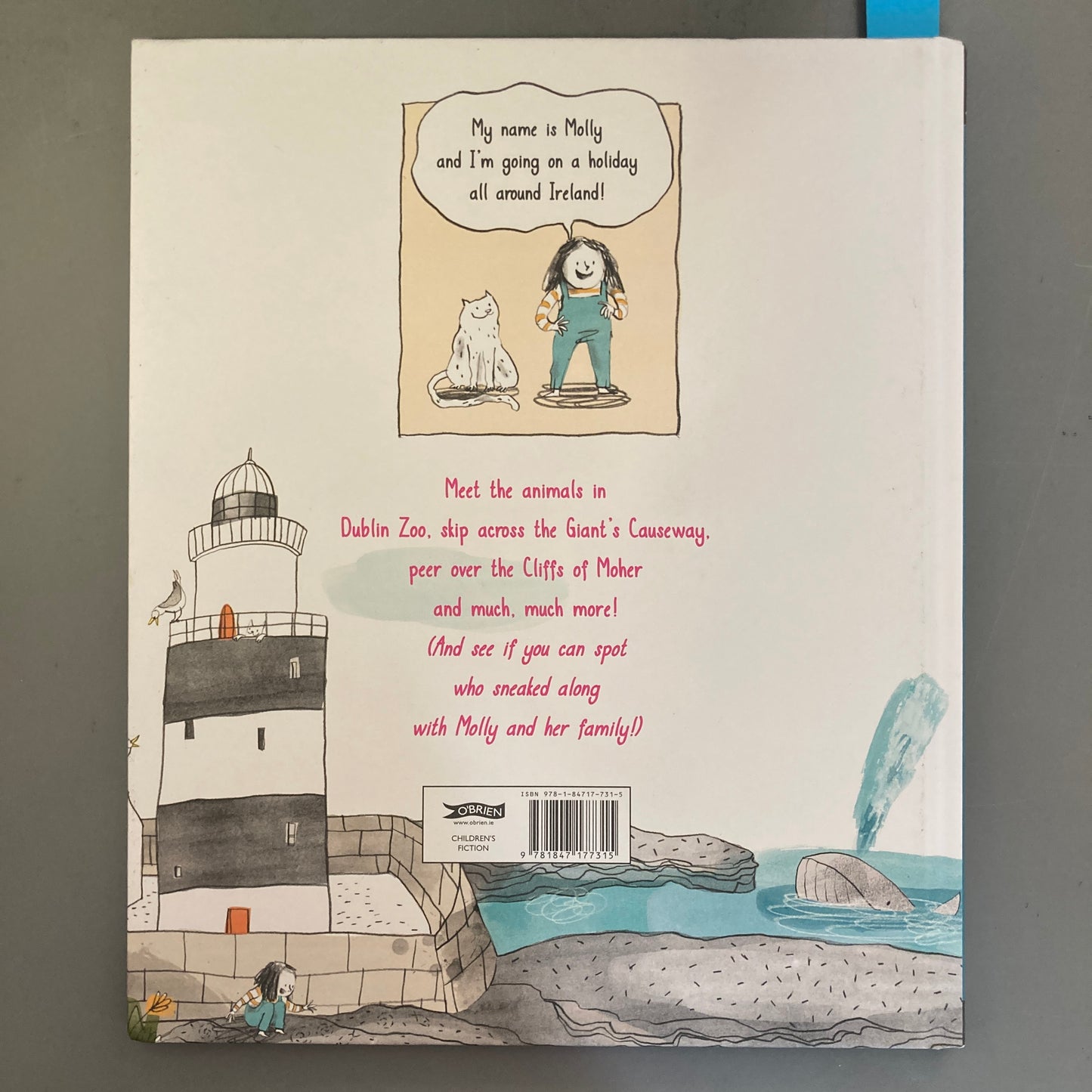 Let's See Ireland (Hardcover)