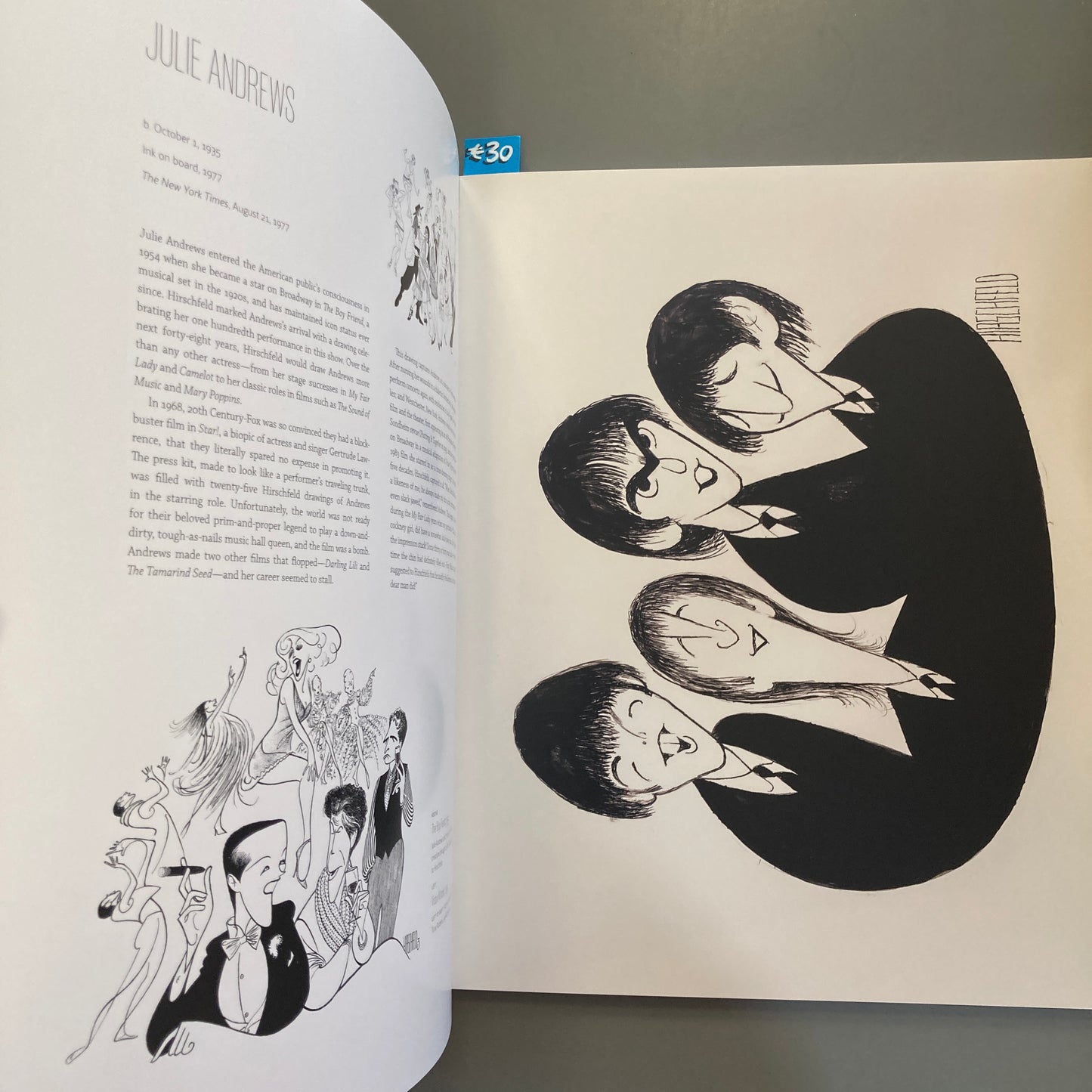 Hirschfeld's Icons: A Poster Book