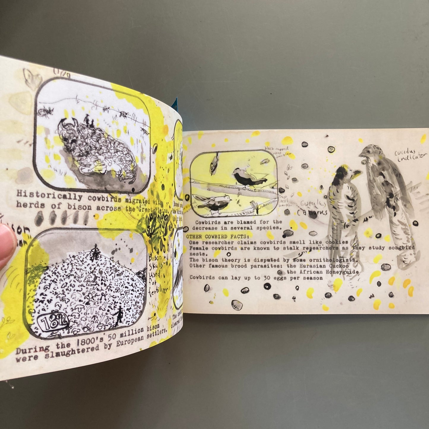 Zine You Next Tuesday: Egg