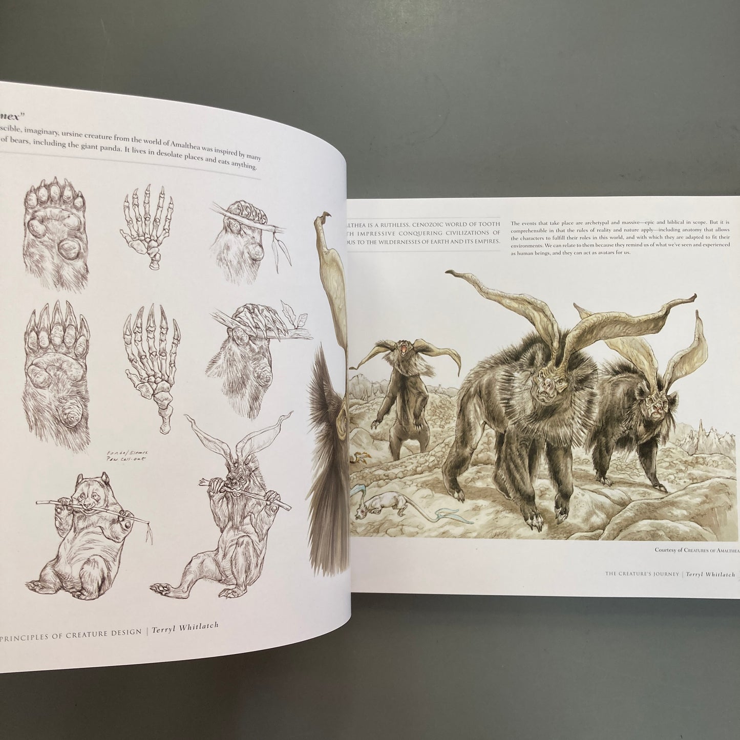 Principles of Creature Design