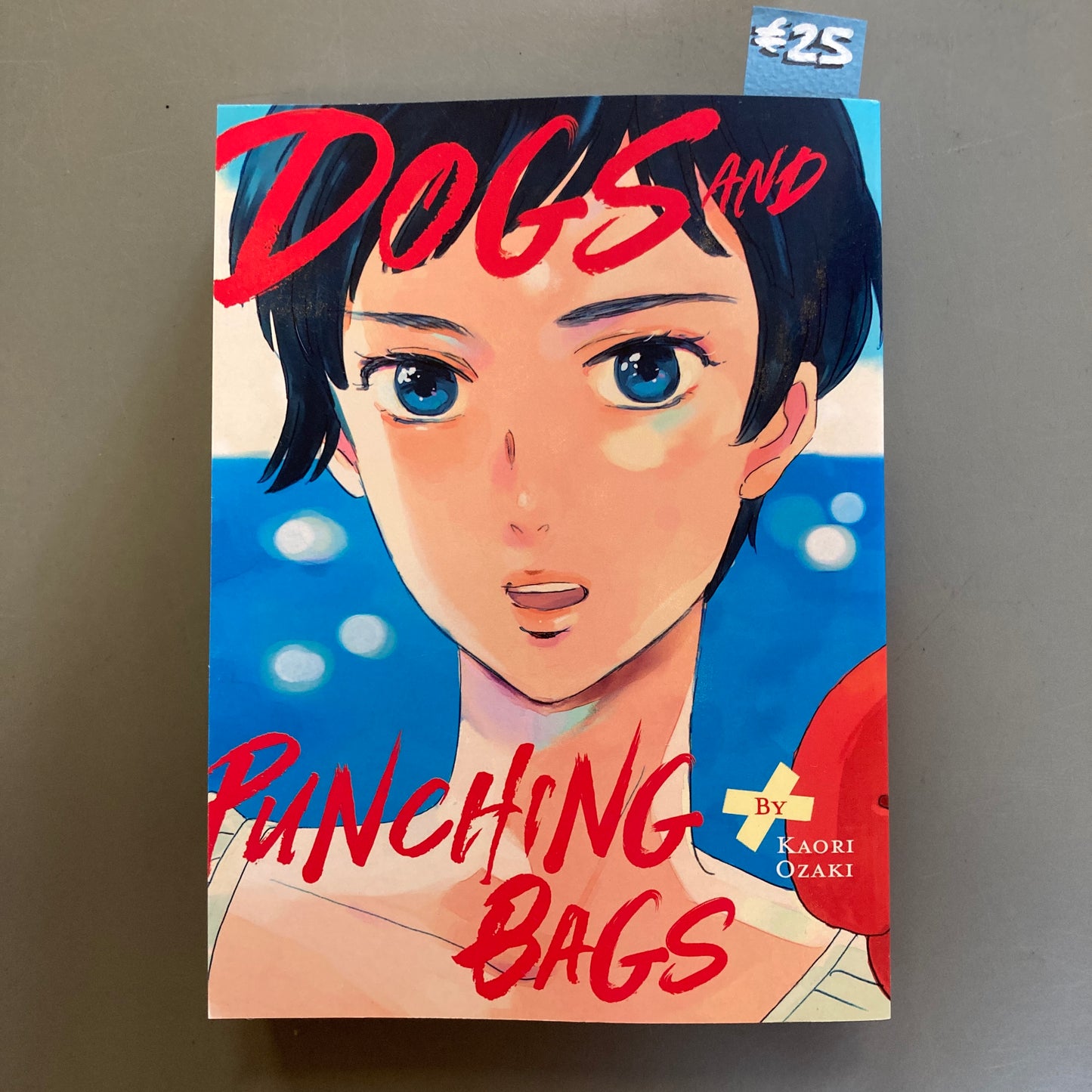 Dogs and Punching Bags