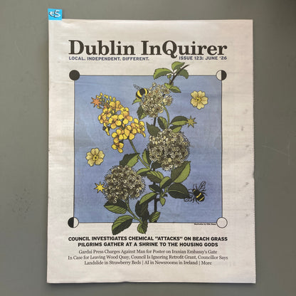 Dublin Inquirer: Issue 123