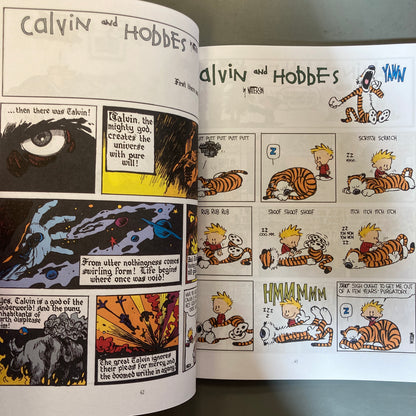 The Calvin and Hobbes Lazy Sunday Book
