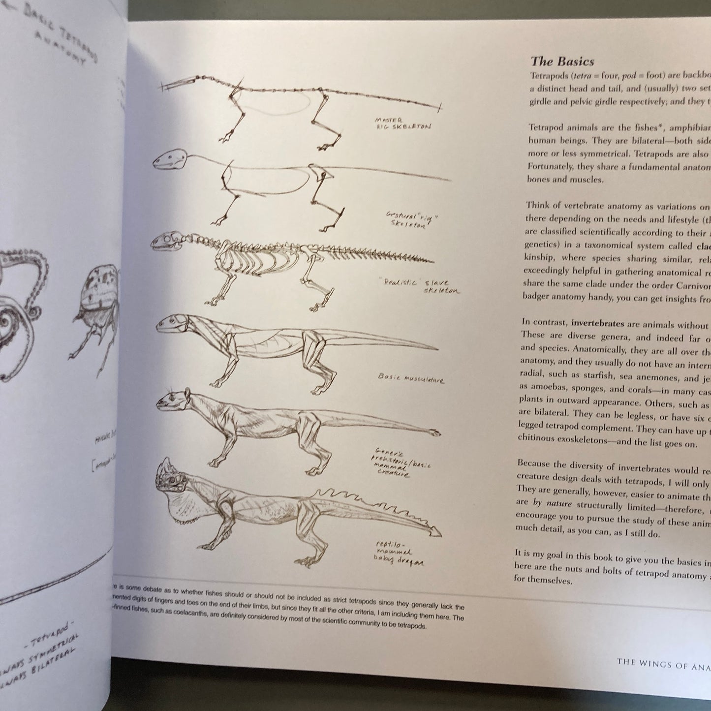 Science of Creature Design