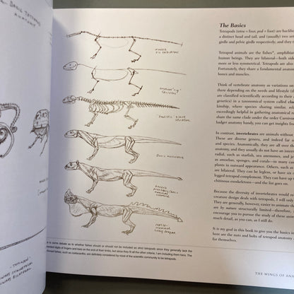Science of Creature Design