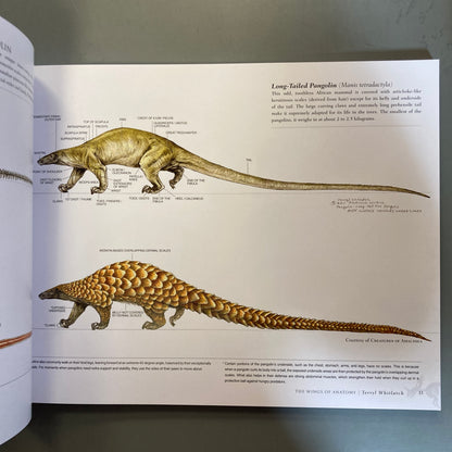 Science of Creature Design