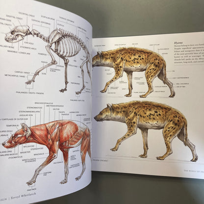 Science of Creature Design
