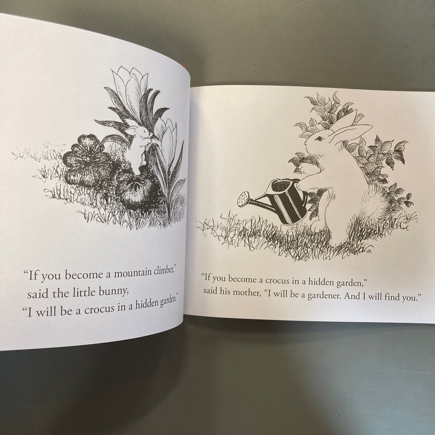 The Runaway Bunny