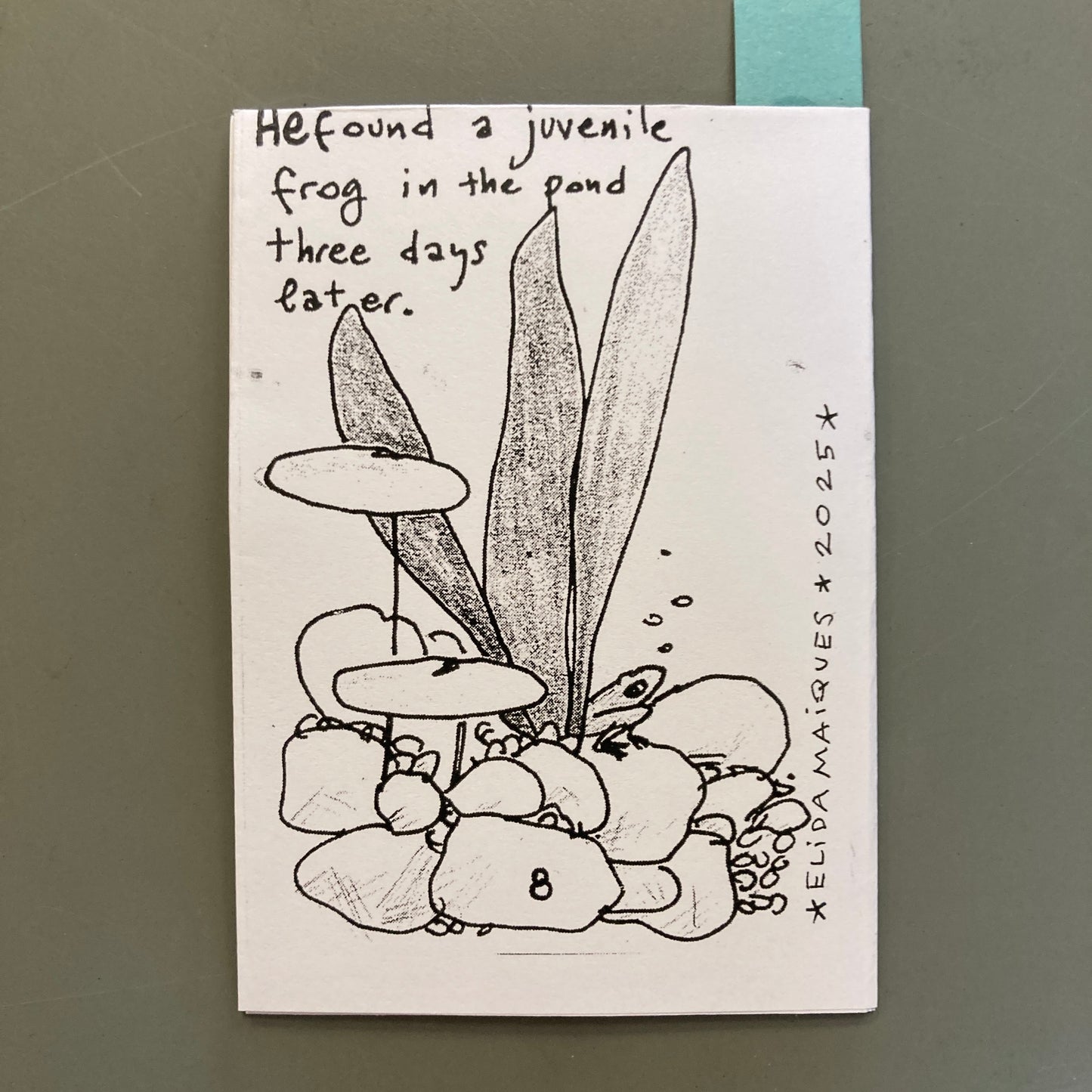 A Frog Dreamt Me Up