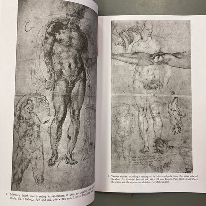 Michelangelo: Life Drawings