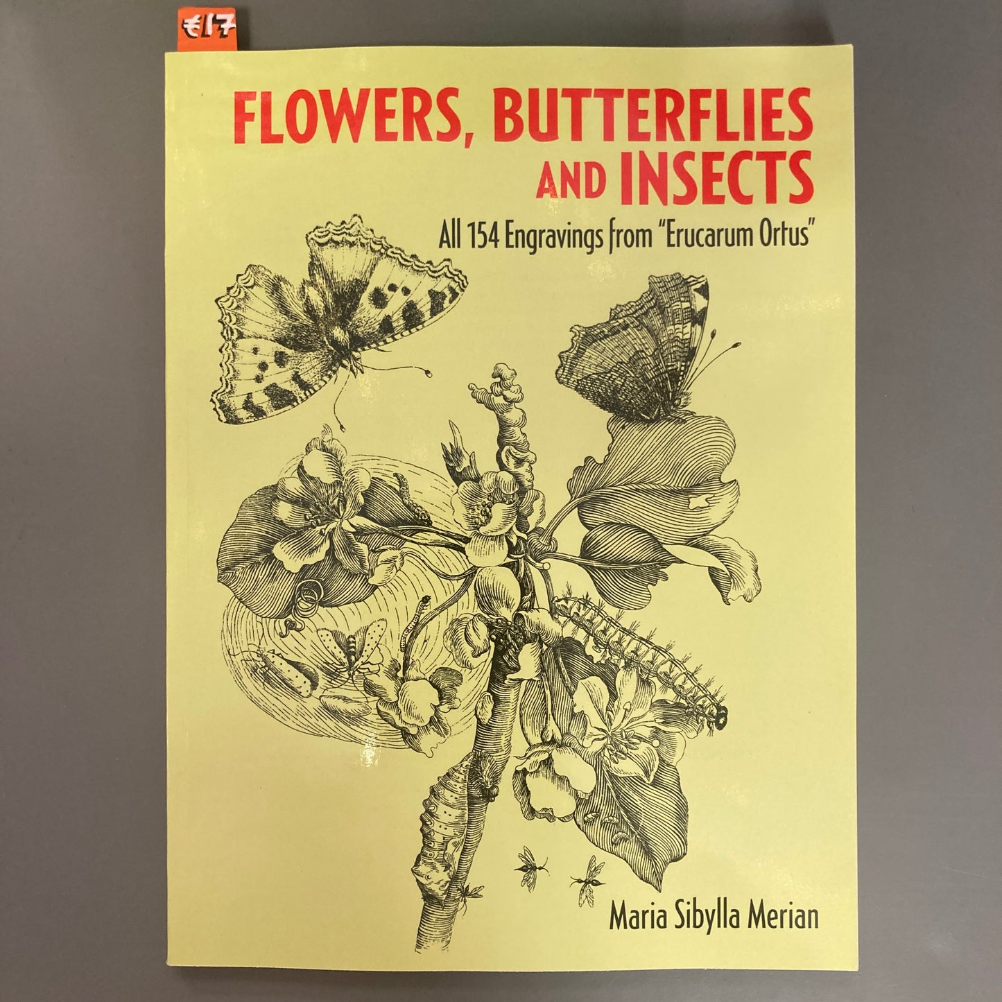 Flowers, Butterflies and Insects