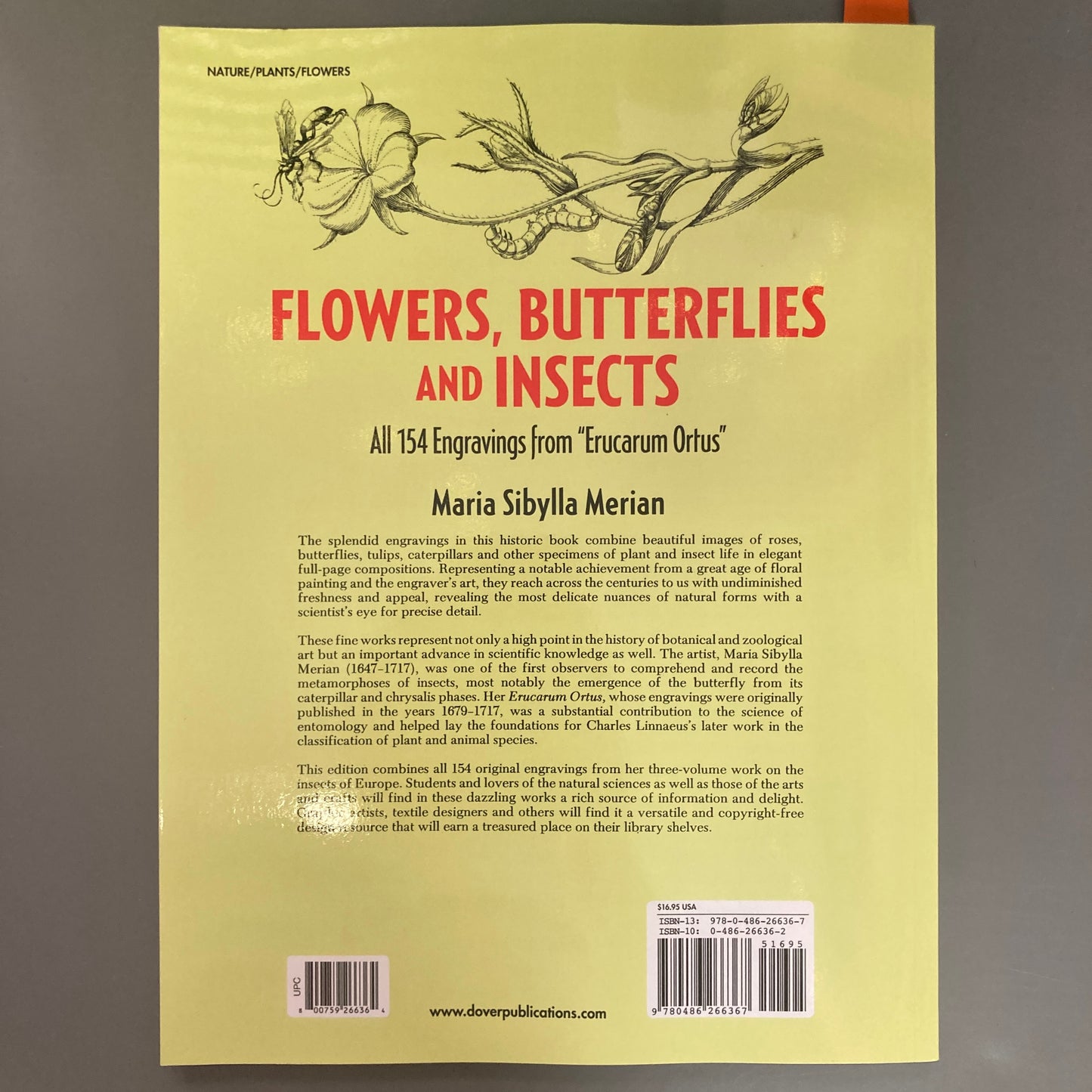 Flowers, Butterflies and Insects