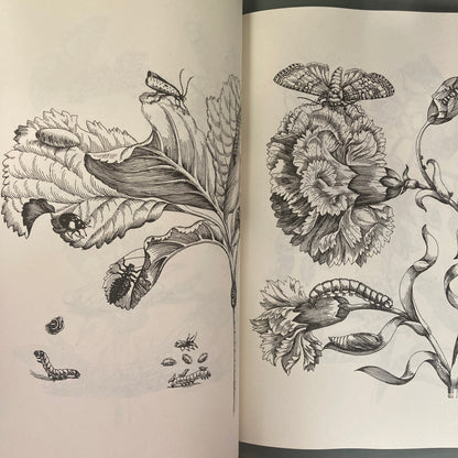 Flowers, Butterflies and Insects