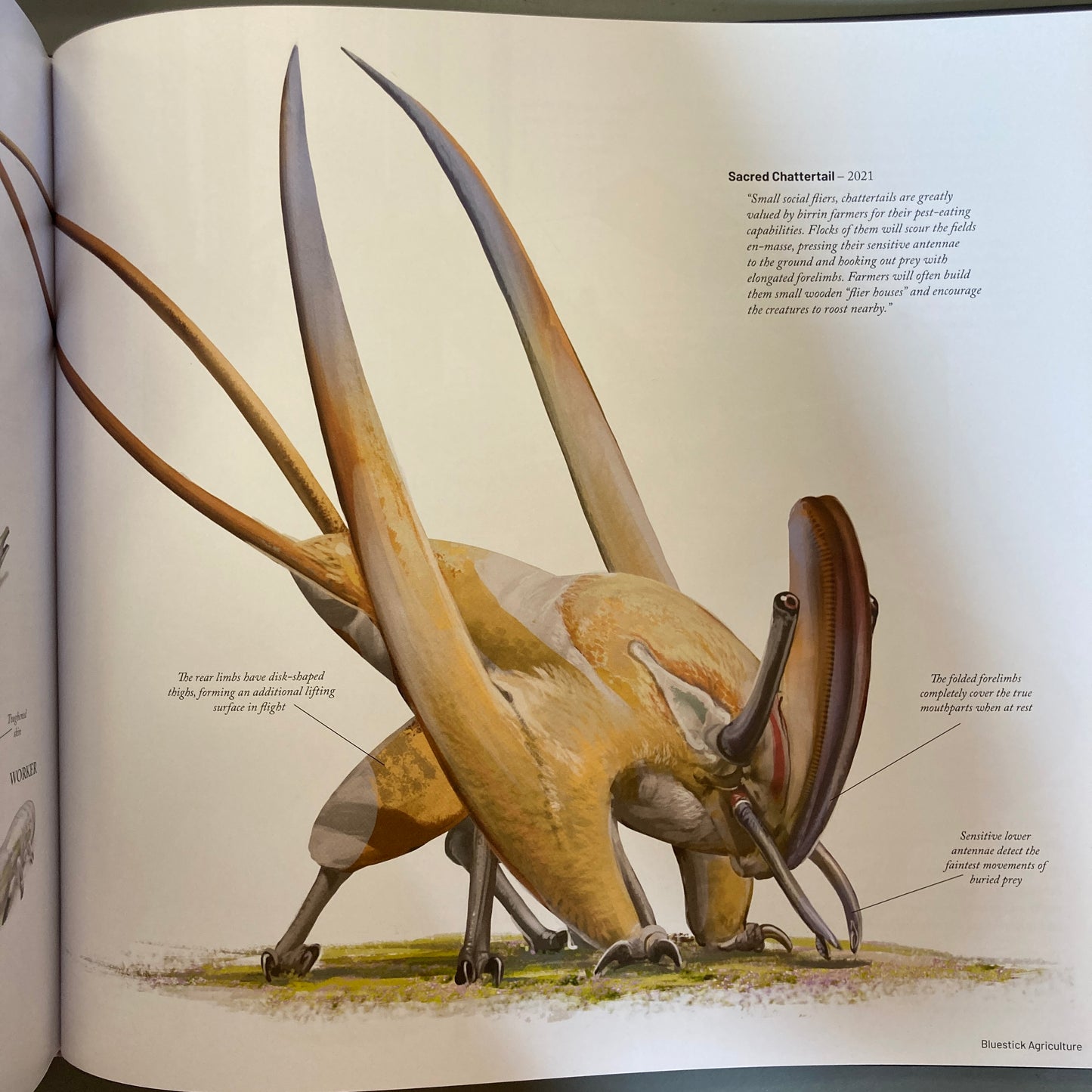Other Worlds: The Art of Alex Ries