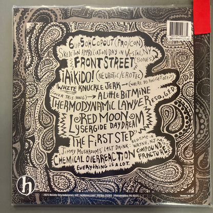 Everything is a Lot (Vinyl)