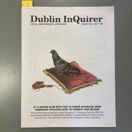 Dublin Inquirer: Issue 112