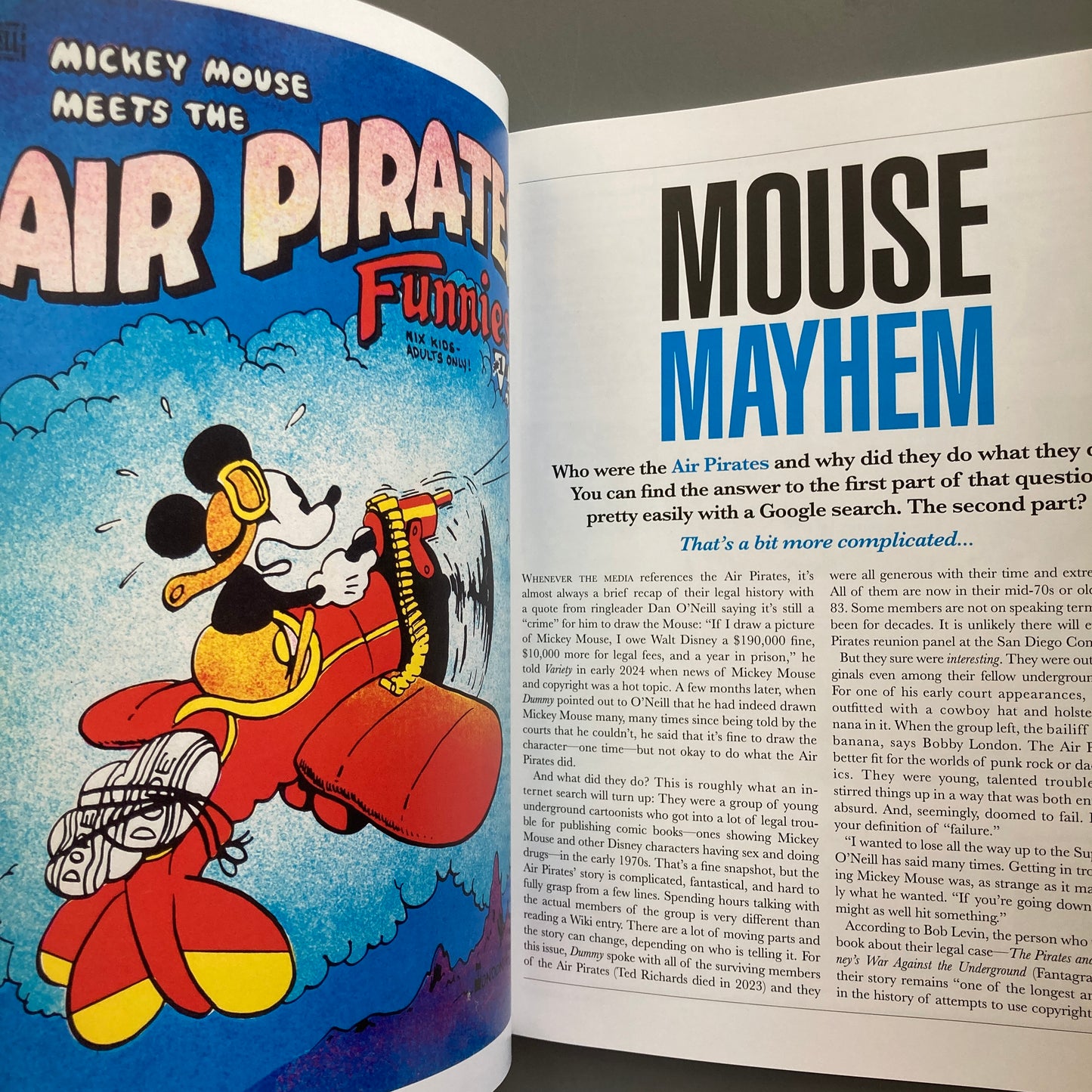 Dummy, Issue 2: Parody or Piracy?