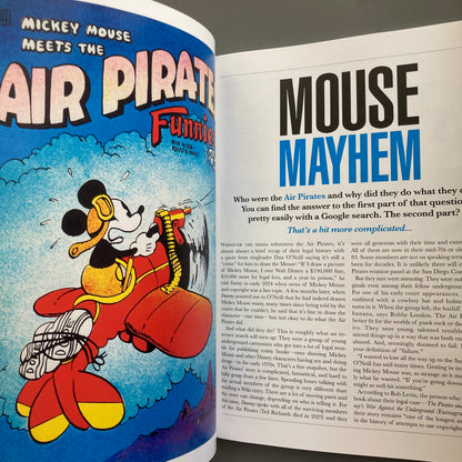 Dummy, Issue 2: Parody or Piracy?