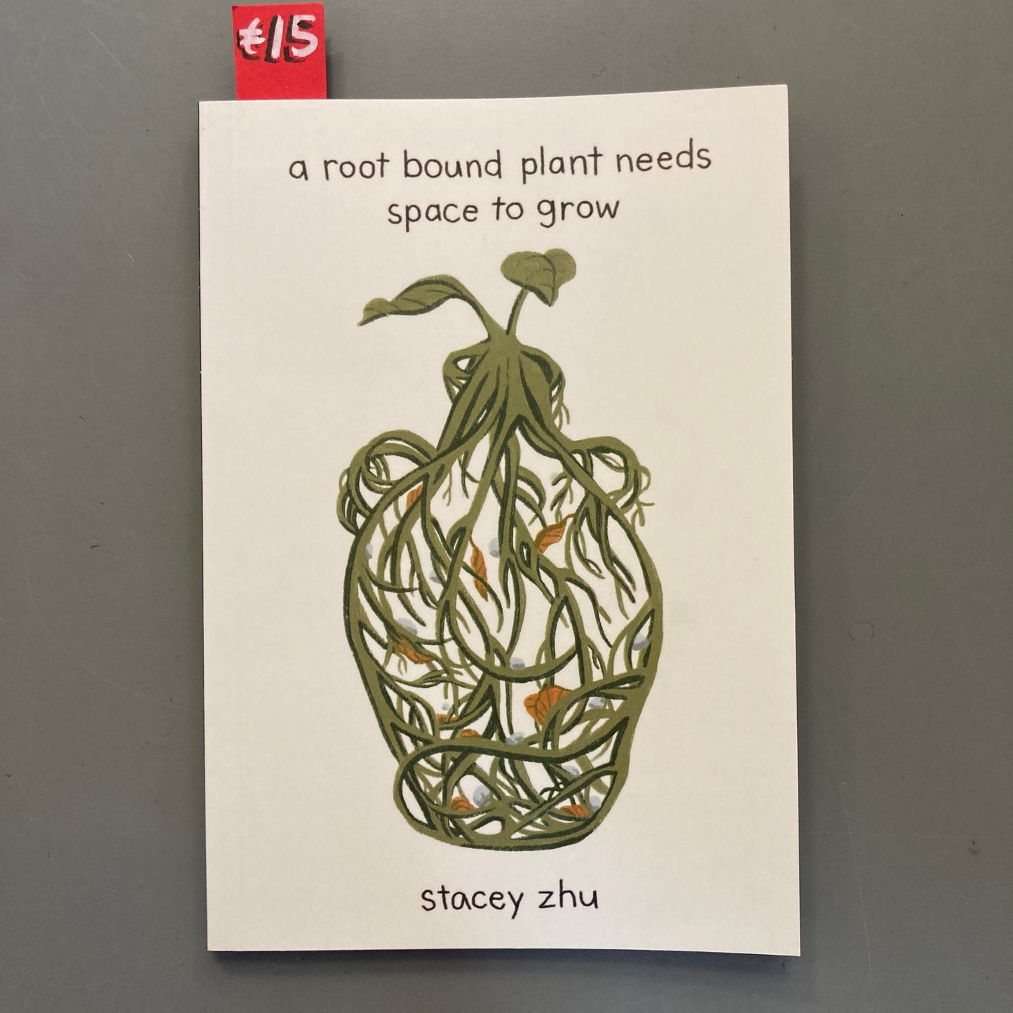 a rootbound plant needs space to grow