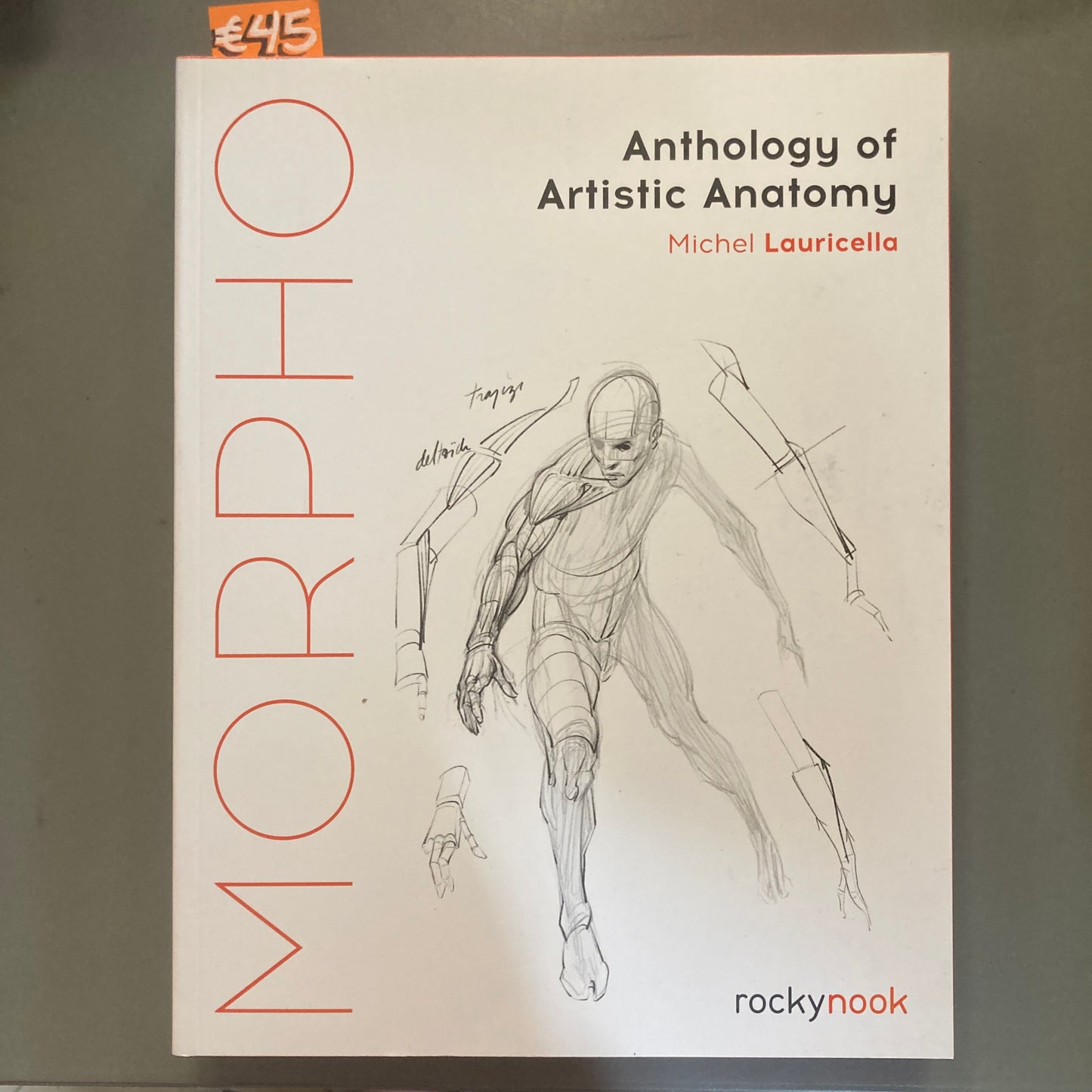 Morpho: Anthology of Artistic Anatomy