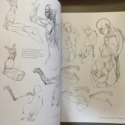 Morpho: Anthology of Artistic Anatomy