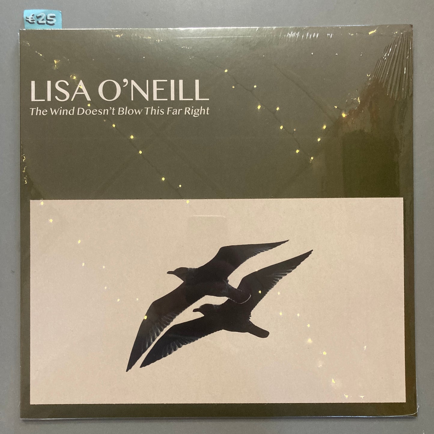 The Wind Doesn't Blow This Far Right (Vinyl)