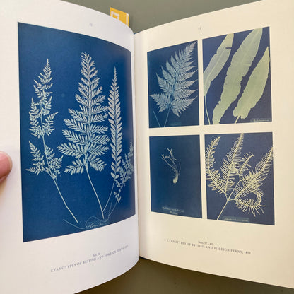 Anna Atkins: Blue Prints