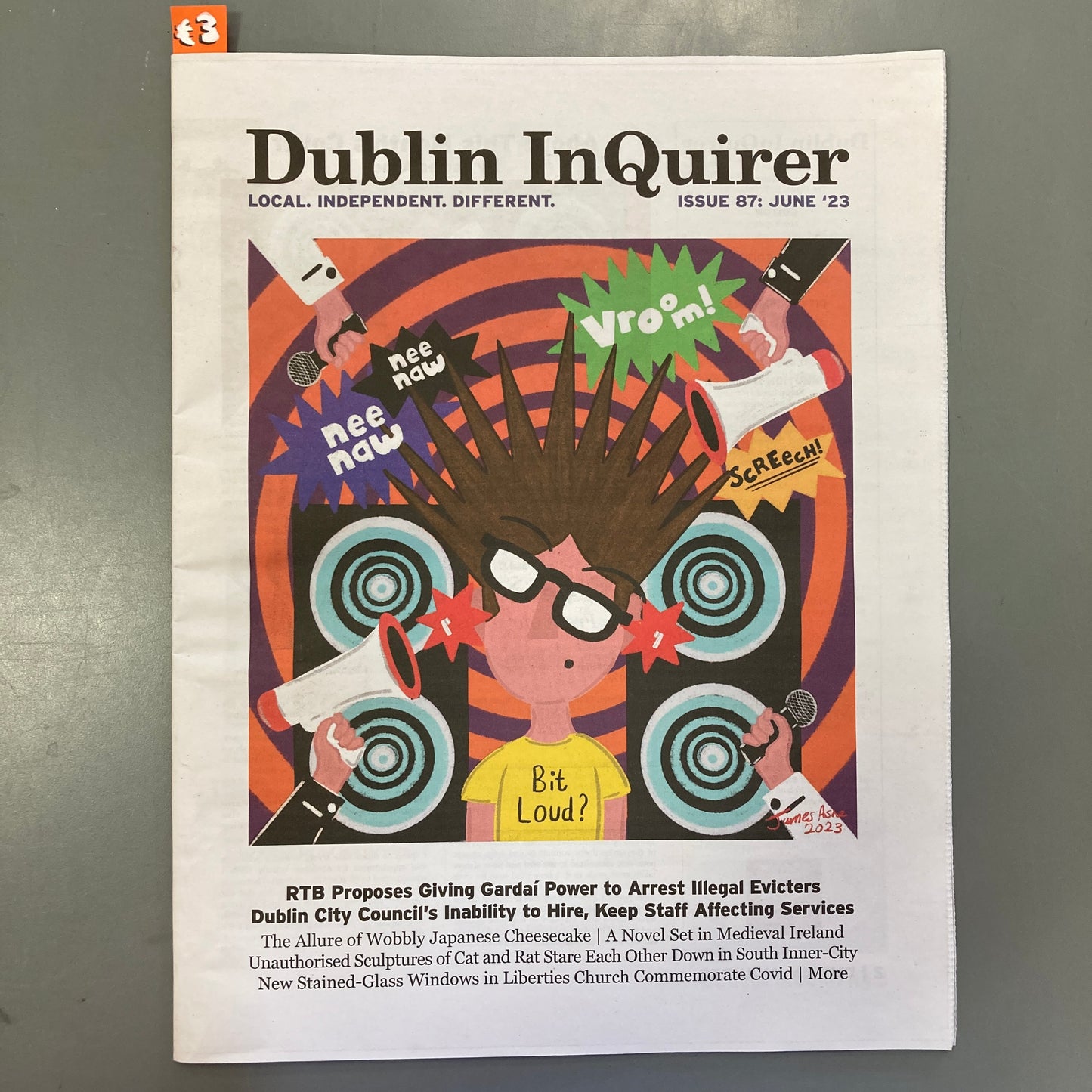 Dublin Inquirer: Issue 87