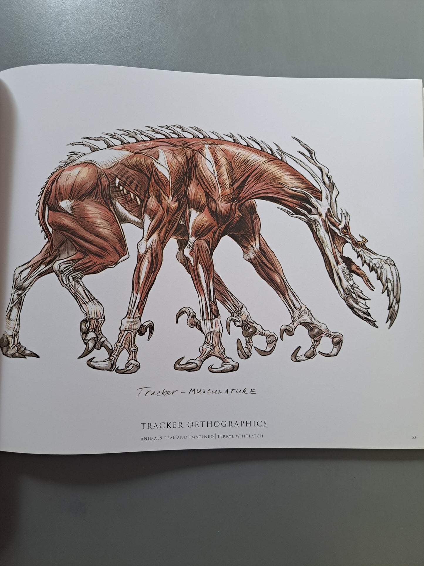 Animals Real and Imagined