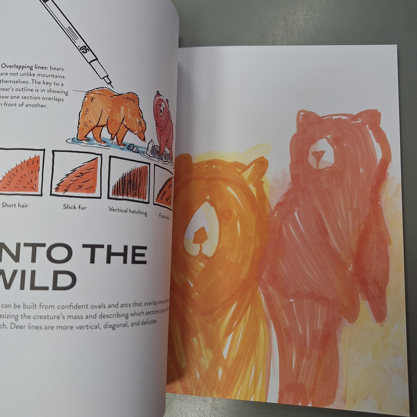 Just Add Line: Coloring in Reverse