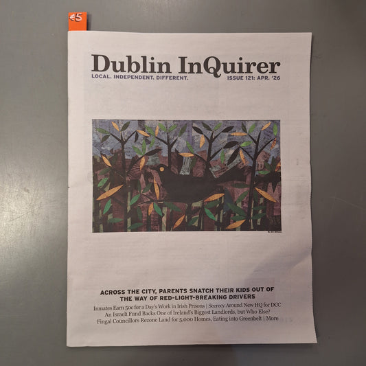 Dublin Inquirer: Issue 121