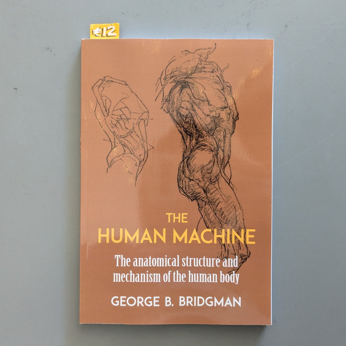 The Human Machine: The Anatomical Structure And Mechanism Of The Human Body