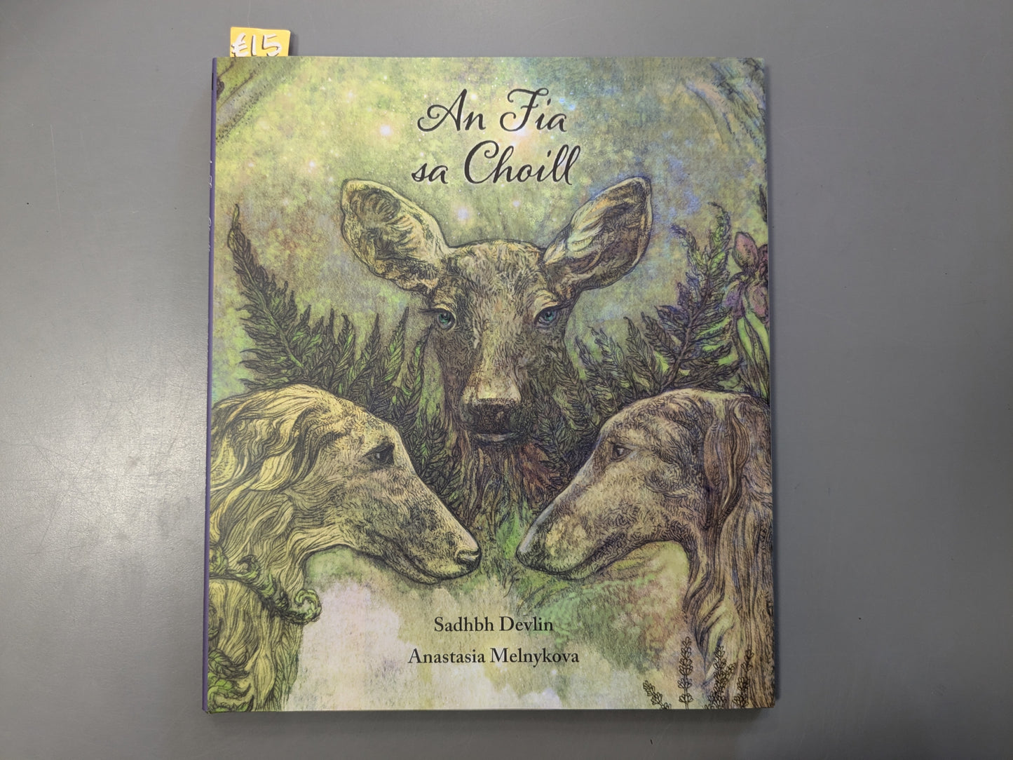 An Fia Sa Choill/The Deer In The Woods (As Gaeilge)