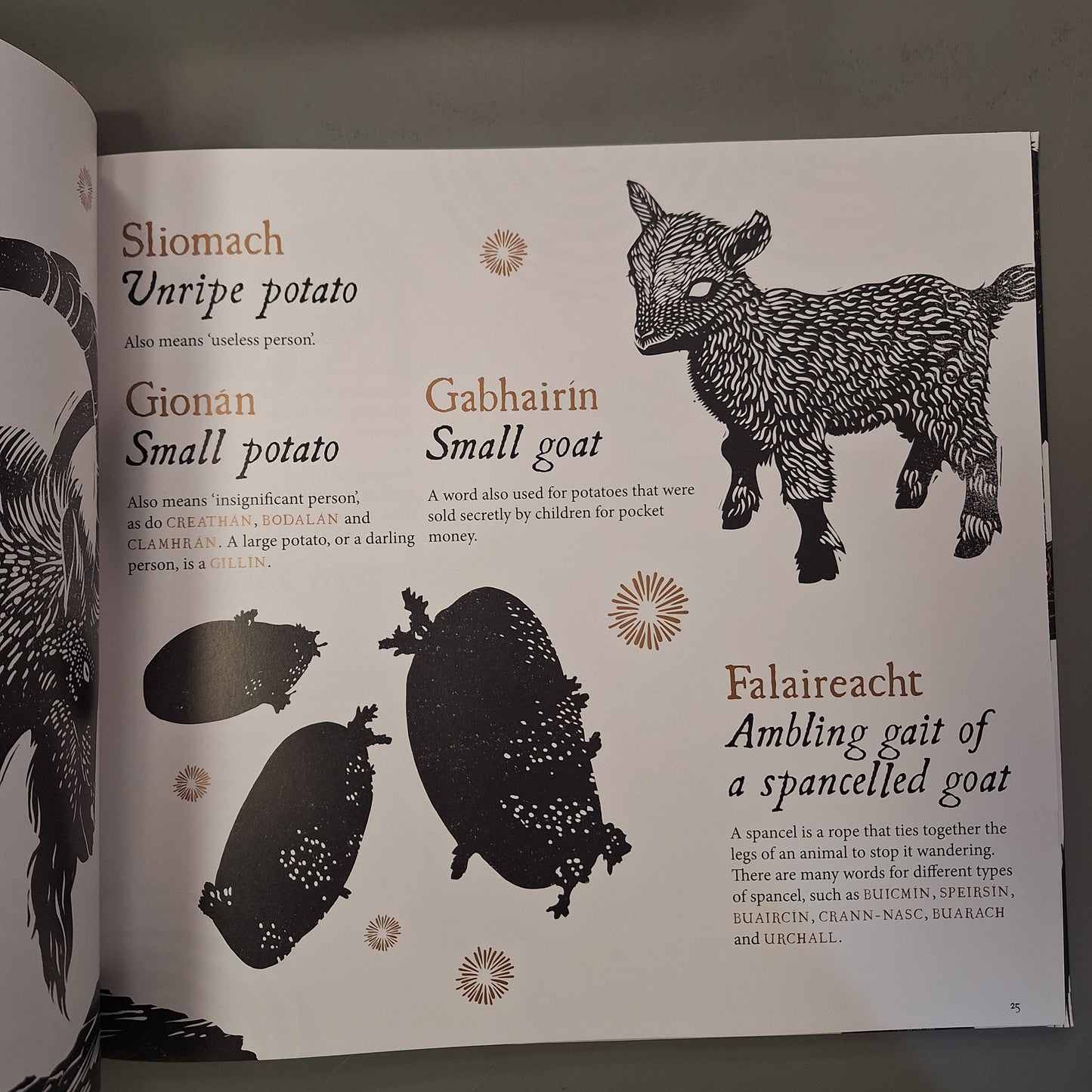 Tree Dogs, Banshee Fingers and Other Irish Words for Nature