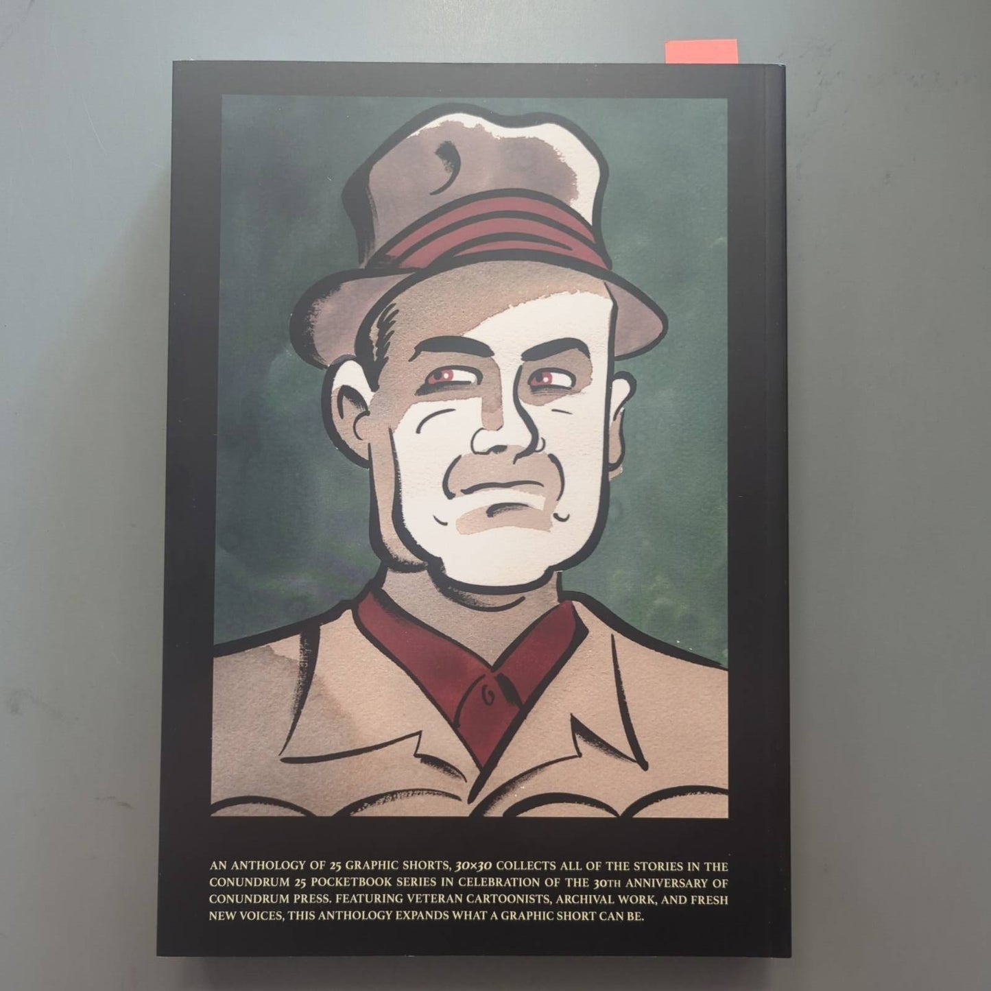 30x30: Thirty Years of Conundrum Press