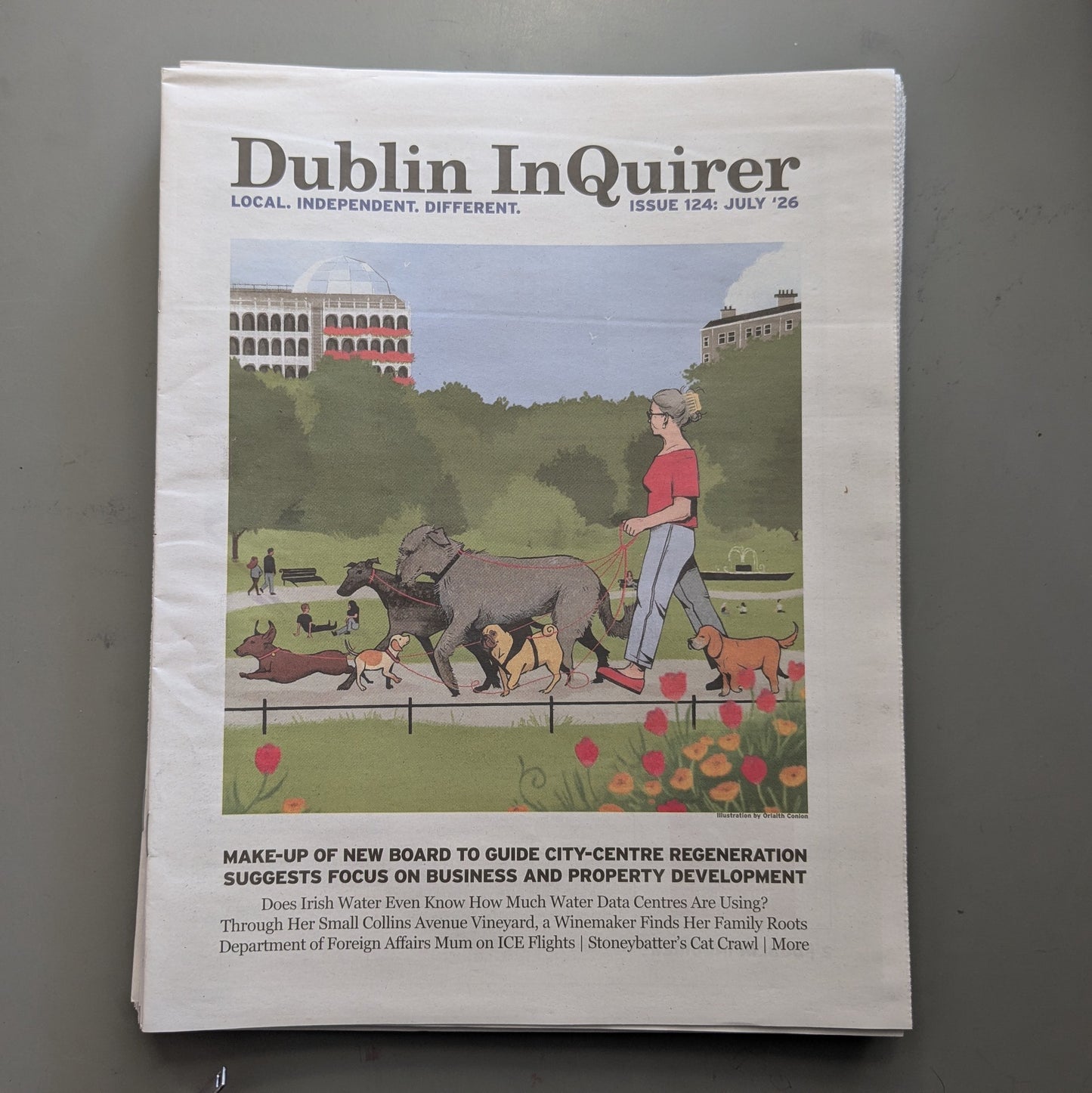 Dublin Inquirer: Issue 124